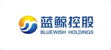 BLUEWISH HOLDINGS